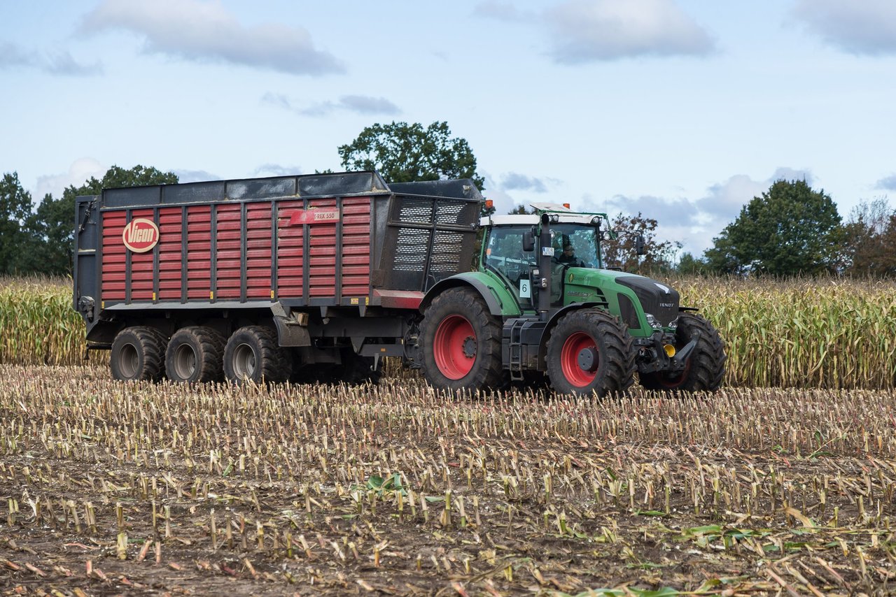 Bild 142 - Maisernte